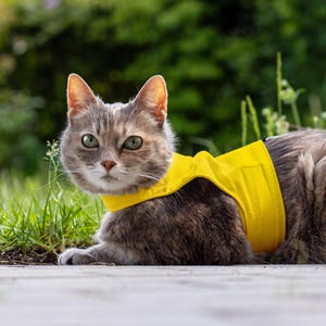 Ontsnappingsbestendig kattentuigje met AirTag Pocket | Verstelbaar kattenwandeljack | Zacht kattenvest voor buiten | ÉÉN MAAT