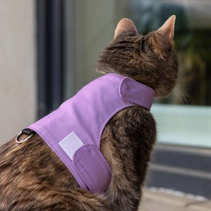 Ontsnappingsbestendig kattentuig om te wandelen | Verstelbaar kattenwandeljack | Zacht kattenvest voor buiten | ÉÉN MAAT | Lavendel