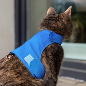 Ontsnappingsbestendig kattentuig om te wandelen | Verstelbaar kattenwandeljack | Zacht kattenvest voor buiten | ÉÉN MAAT