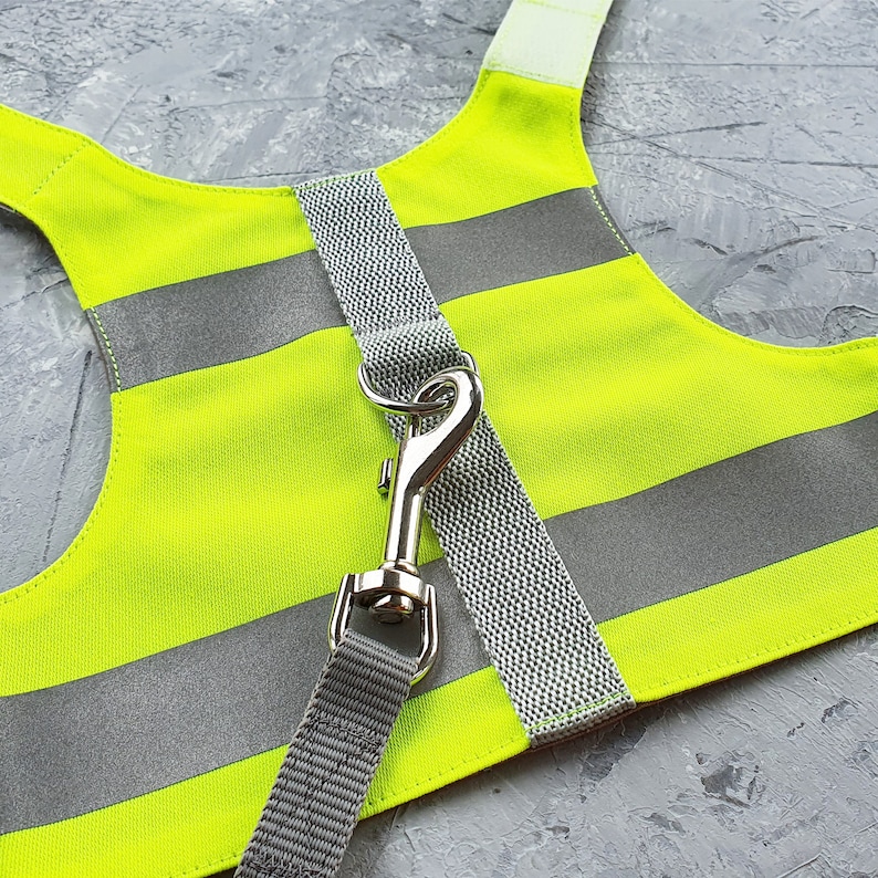 May include: A yellow and gray dog harness with a reflective strip and a silver clip attached to a gray leash.