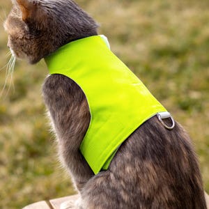 May include: A chartreuse cat harness with a silver metal D-ring. The harness is on a gray tabby cat. The cat is sitting outside on a wooden surface. The harness is a bright, solid color.