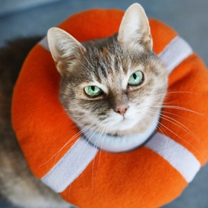 Cat cone nz sales