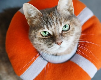 May include: A tabby cat wearing an orange and white life preserver. The cat has green eyes and a white patch on its chest.