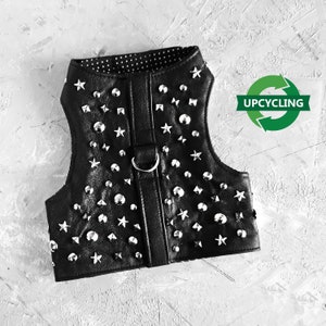 Könnte beinhalten: Schwarzes Lederhundgeschirr mit silbernen Sternen und Nieten. Das Geschirr hat einen D-Ring zum Anbringen einer Leine. Das Geschirr ist mit "Upcycling" gekennzeichnet.