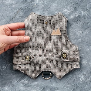 May include: A brown and white tweed dog vest with a small leather mountain patch on the back. The vest has two gold buttons and a black D-ring for attaching a leash.