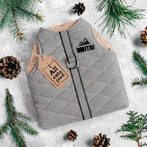 May include: A gray quilted pet vest with a diamond pattern, a reflective strip, and a metal ring. The vest has the name "OMITRI" and a mountain logo printed on it. A tag reads "All cats good". The vest is surrounded by pine needles and pine cones.