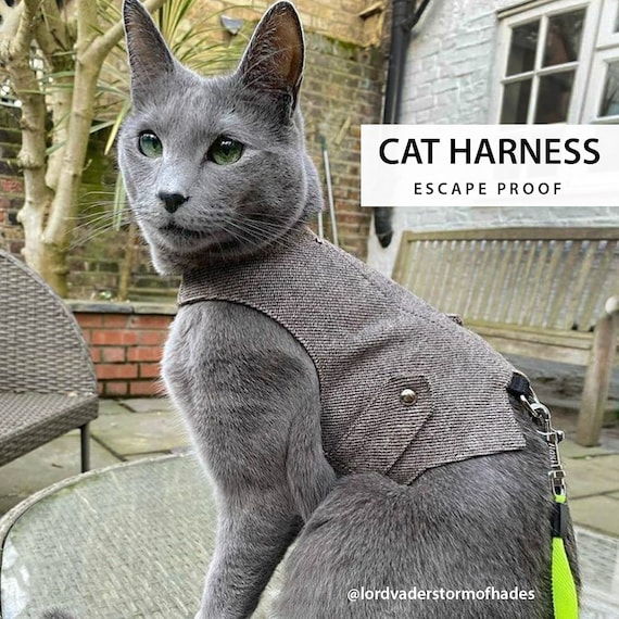 Harnais pour chat en coton gris