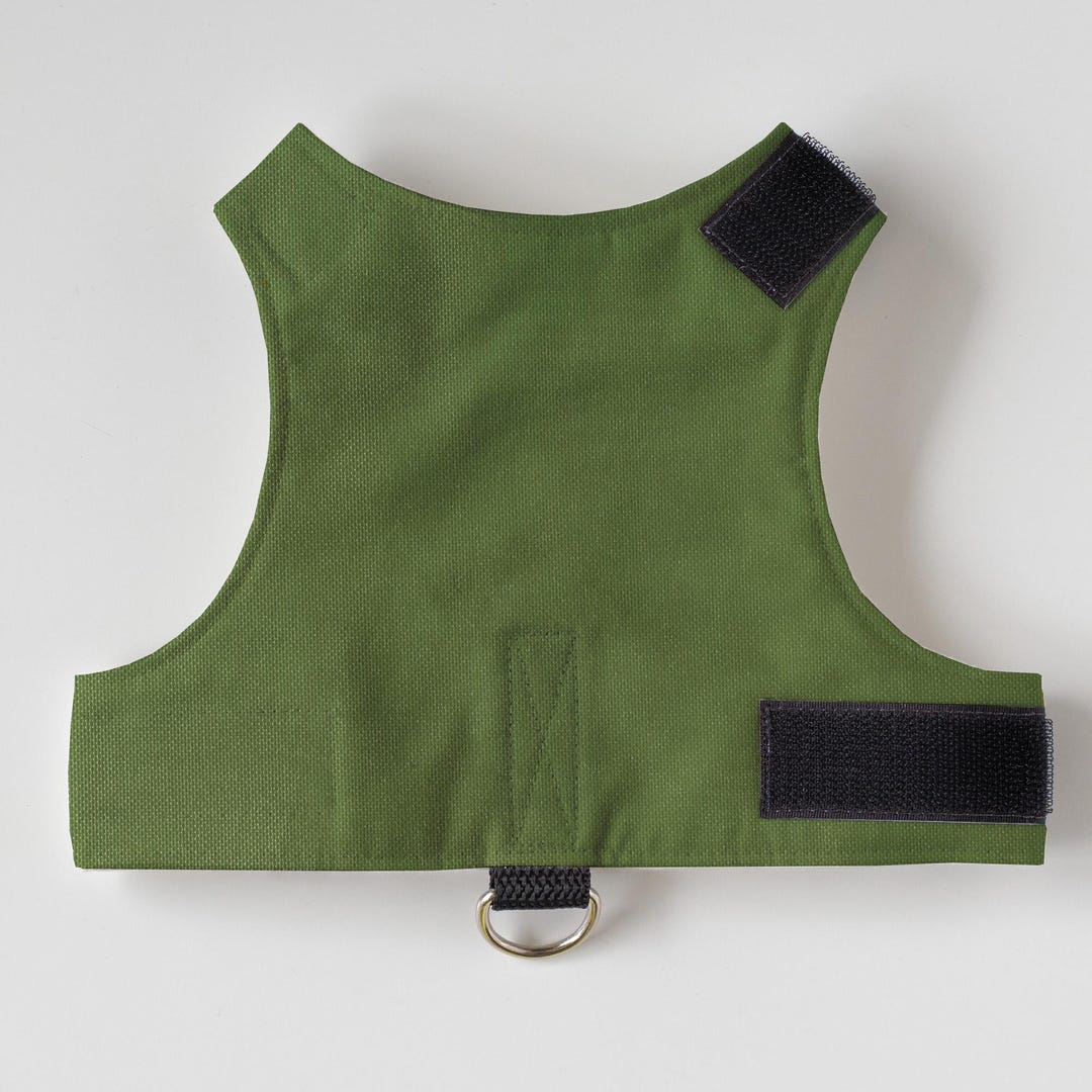 Curated visual reference: Picture Idea: Escape Proof Cat Harness For Walking