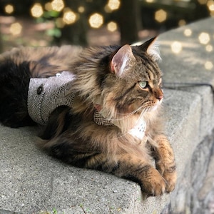 Giacca classica in tweed per passeggiate con i gatti "Labirint". Abito in stile gentiluomo. Pettorina con toppa. Realizzata su misura. Gilet fatto a mano. / ALLCATSGOOD
