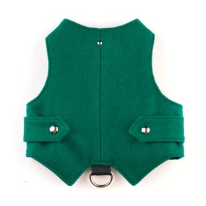 Green Woolen Cat Harness  | ALLCATSGOOD