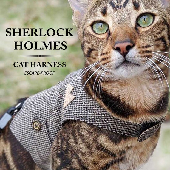 cat harness for large cats