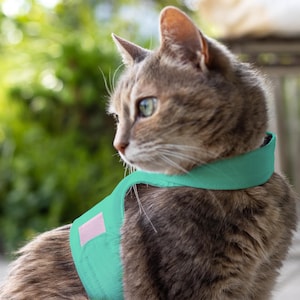 Ontsnappingsbestendig kattentuig om te wandelen | Verstelbaar kattenwandeljack | Zacht kattenvest voor buiten | ÉÉN MAAT | Celadon