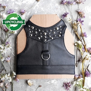 May include: Black leather harness with silver studs and star accents. The harness has a D-ring and is displayed on a cardboard backing, surrounded by dried flowers. The image includes an "UPCYCLING" logo.