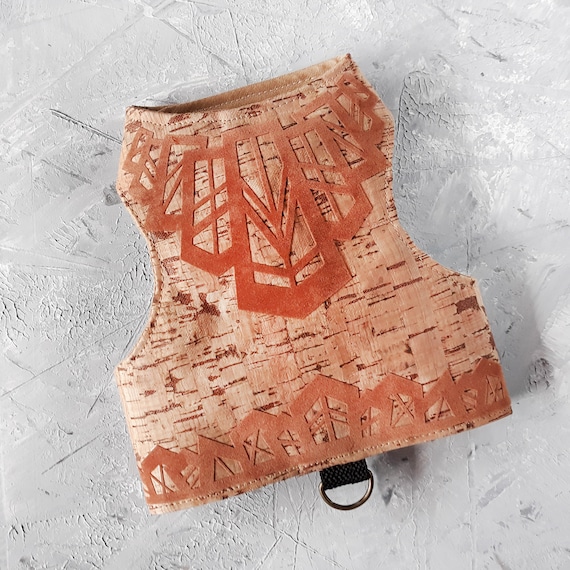 butterfly cat jackets