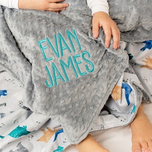 May include: A gray and white minky baby blanket with a dinosaur print on one side and a gray side with the name "Evan James" embroidered in teal.