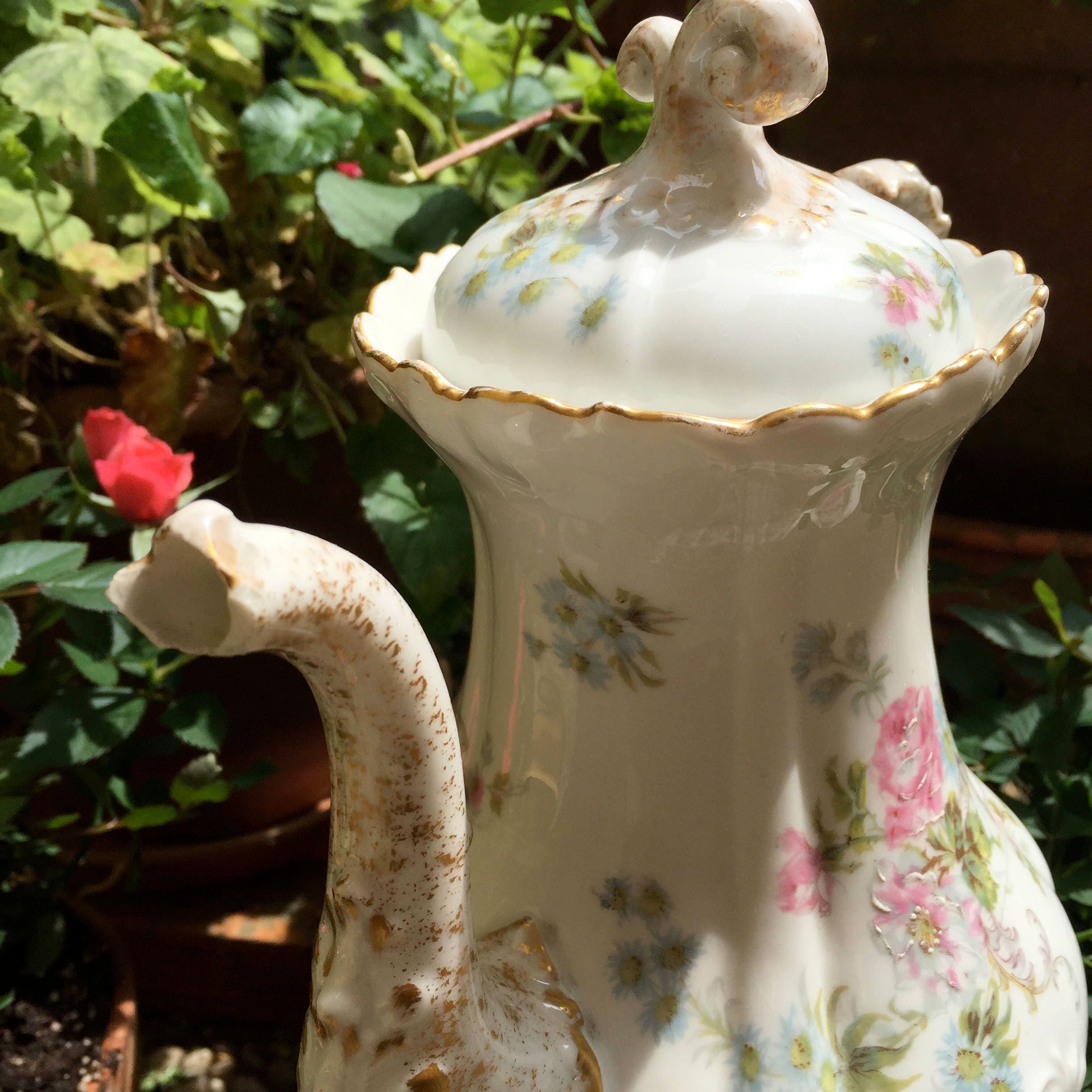 Verseuse à Café Pour Vos Fleurs