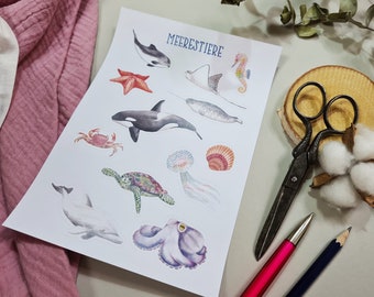 Sticker sheet marine animals - A5