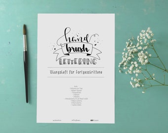 Hand lettering & brush lettering for advanced learners: Practice booklet/instruction booklet - structure