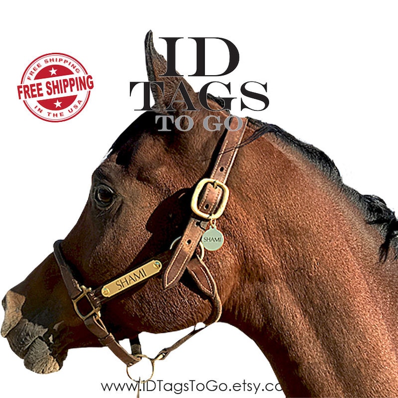 ID Tags for Horses Dogs Halters. Large Pet ID Tag Solid Etsy