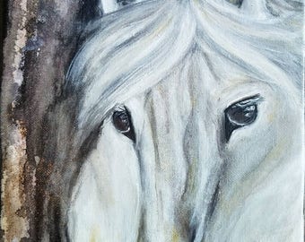 White horse - original painting