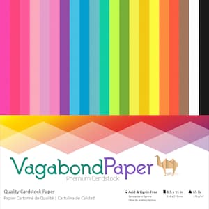 Cardstock 100 sheets 21 Colors Bright Rainbow 8.5 x 11 inch sheets 65 lb cover weight Assorted Premium Crafting Cardstock Paper Pack image 1