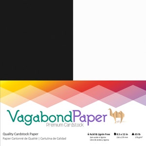 Cream & Off-White Cardstock 80 lb Textured Scrapbook Paper Single