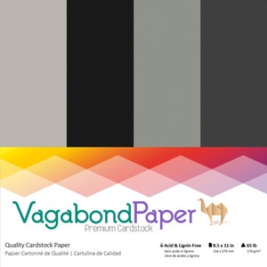 Papier cartonné haut de gamme 8,5 x 11 po. - Gris et noir - 65 livres. Poids de la couverture : parfait pour le scrapbooking et la fabrication de cartes !