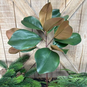 May include: A faux magnolia branch featuring glossy, dark green leaves on the top side and a contrasting matte, light brown underside. The branch has a central stem with multiple leaves extending outward, showcasing a realistic botanical structure.