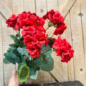 May include: A vibrant bouquet of red geraniums with lush green leaves. The flowers are in full bloom, showcasing their rich color and texture. The arrangement is set against a rustic wooden backdrop, creating a striking contrast.