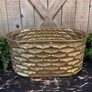 May include: A gold-colored, oval-shaped planter with a textured, scale-like pattern. The planter is made of metal and has a hammered appearance. The background features a wooden wall and greenery, suggesting a rustic or farmhouse aesthetic.