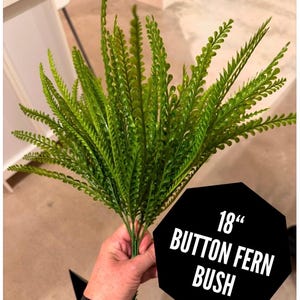 May include: A green 18-inch button fern bush. The artificial plant has many small, detailed leaves and is held in a person's hand. The text "18" BUTTON FERN BUSH" is displayed on a black octagon.