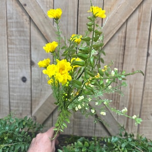 May include: A bouquet of bright yellow flowers with green stems and leaves. The flowers are held against a wooden background. The bouquet includes small white flowers and green foliage.