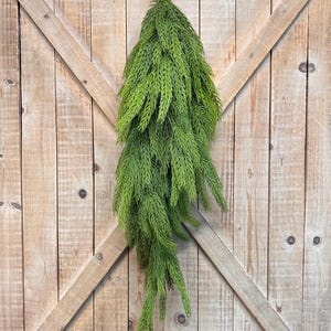 May include: A hanging, artificial green fern plant. The plant is suspended from a metal loop and hangs against a rustic, wooden door. The fern has a dense, textured appearance with long, cascading fronds, creating a natural, decorative element.