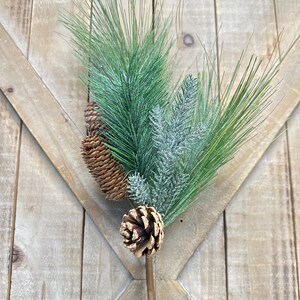 May include: A frosted green pine sprig with brown pine cones. The sprig is attached to a brown stem.