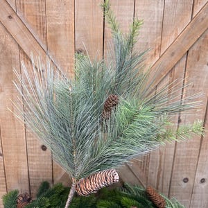 May include: A close-up of a pine branch with long, needle-like leaves and several brown pine cones. The branch has a light green and blue-green color. The background is a wooden door. The image is of a seasonal, holiday decoration.
