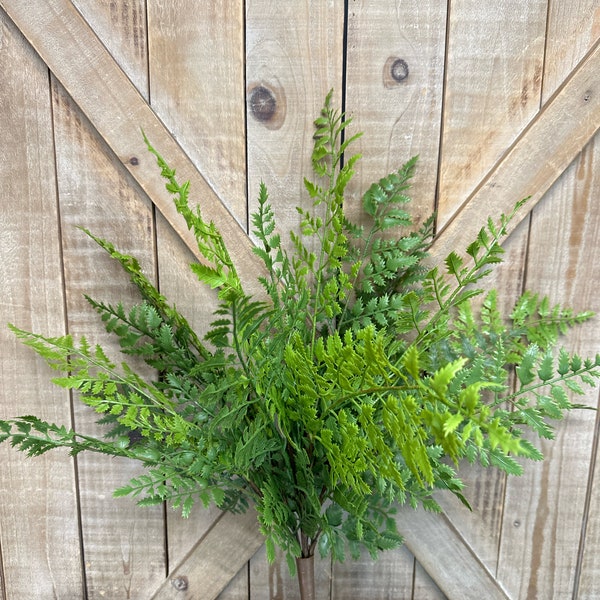 Natural Touch Lady Fern Bush, Greenery, 19 inches, Floral Greenery, Fake Green Bush