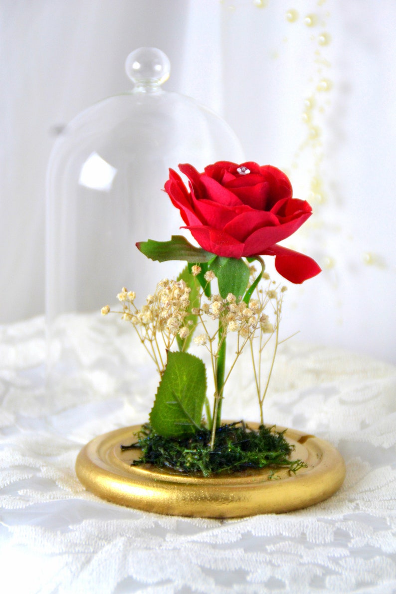 Romantic Beauty and the Beast Inspired Forever Rose Glass Dome Etsy
