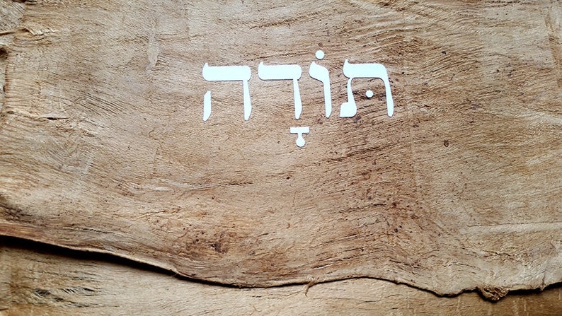 K&ouml;nnte beinhalten: Wei&szlig;e hebr&auml;ische Schrift auf einer braunen Holzoberfl&auml;che. Der Text lautet "הודיה".