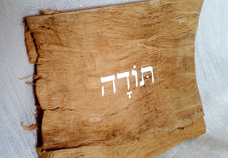 K&ouml;nnte beinhalten: Ein St&uuml;ck braunes Pergament mit dem hebr&auml;ischen Wort "הוֹדָּה" in wei&szlig;er Farbe geschrieben.