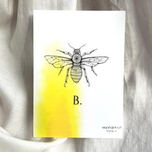 Stampa artistica di una cartolina formato A6 con ape - Mini opera d'arte di insetti botanici - Stampa individuale di illustrazioni originali dell'artista