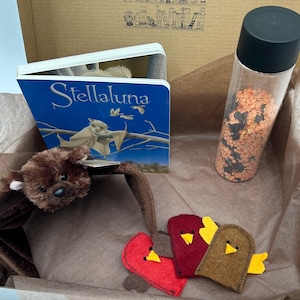 May include: A brown box contains a children's book titled "Stellaluna", a plush bat toy, a sensory bottle filled with lentils, and felt bird ornaments. The book has a blue cover with a bat illustration. The bat toy has outstretched wings.