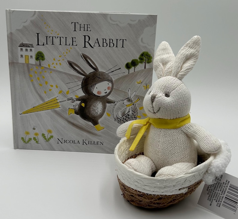Poor Little Rabbit Book The Little Rabbit Book Box With Plush and Basket - Etsy