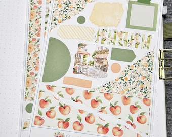Peachy Keen 2 Page Bullet Journal Sticker Kit