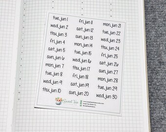 June 2027 Daily Dates Script Planner Stickers (DS06)