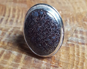 Sterling Silver Dinosaur Bone Fossil Ring Size 4.25 MikeMade