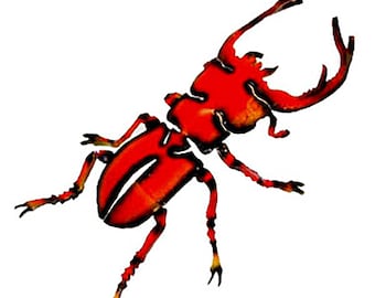 Stag Beetle (Large)