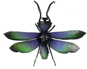 カマキリの大型メス標本のみ。 - Etsy 日本