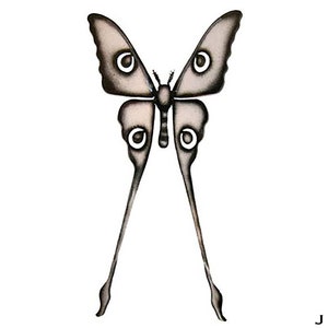 Kometenfalter (Klein)
