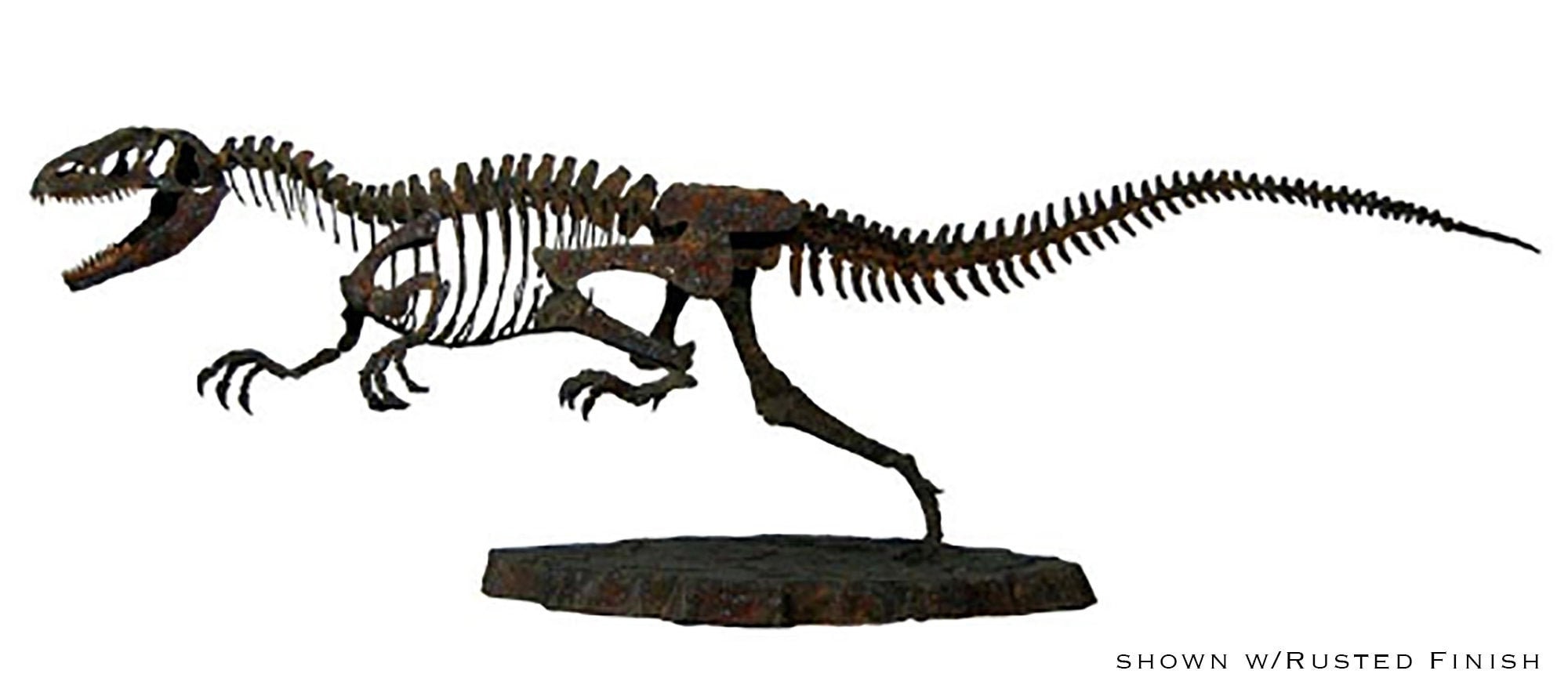 Amazon | allen & ginter dna relic 化石 allosaurus | 化石