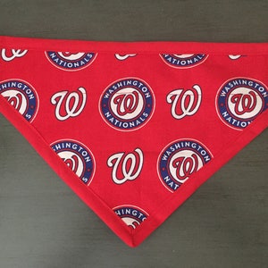 Washington Nationals Dog Scarf